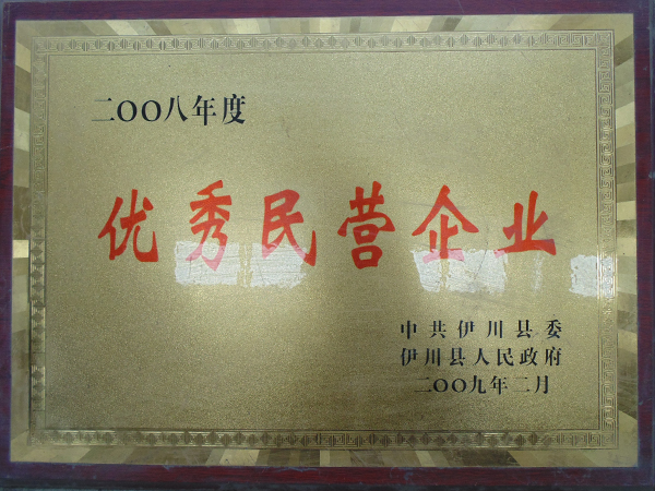 2008年度***民营企业